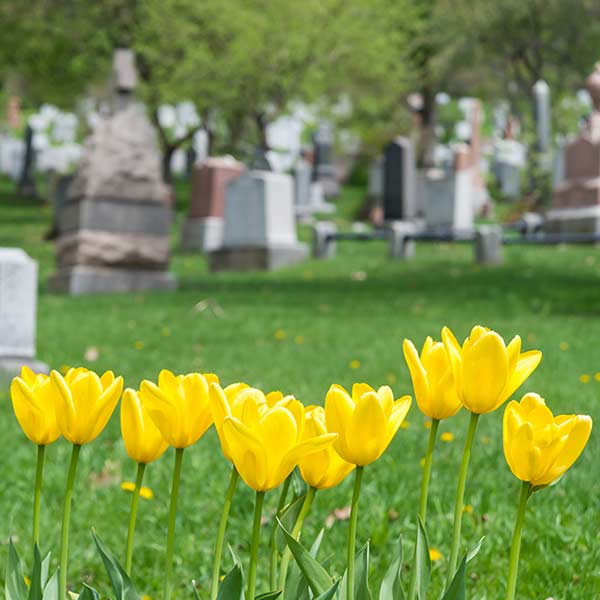 How Do You Prove Wrongful Death?